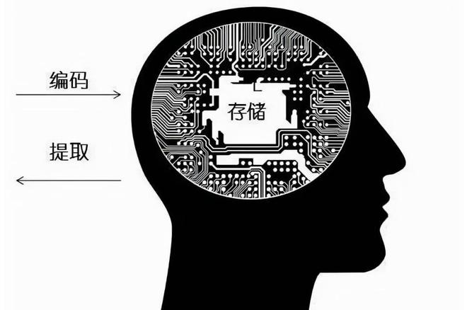 曼德拉效应汉子_曼德拉效应老高_曼德拉效应